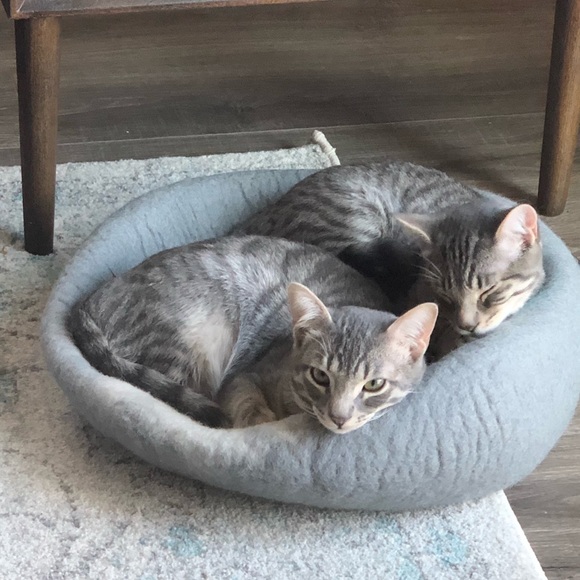 Meet your Posher, Tm - Picture 1 of 1